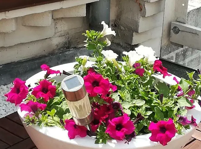 Halte 46 Отель типа 